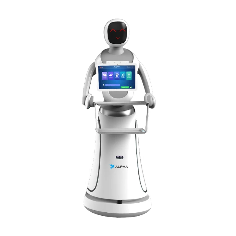 Educational Robot